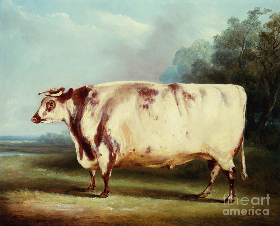 William Henry Davis, A prize cow in a wooded landscape