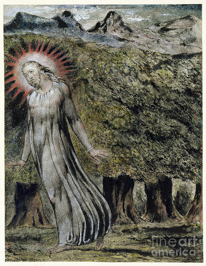 A Prophet In The Wilderness Photograph by William Blake