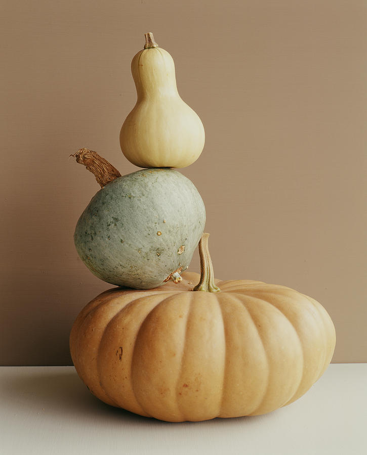 A Pumpkin And Two Gourds Photograph by Victoria Pearson