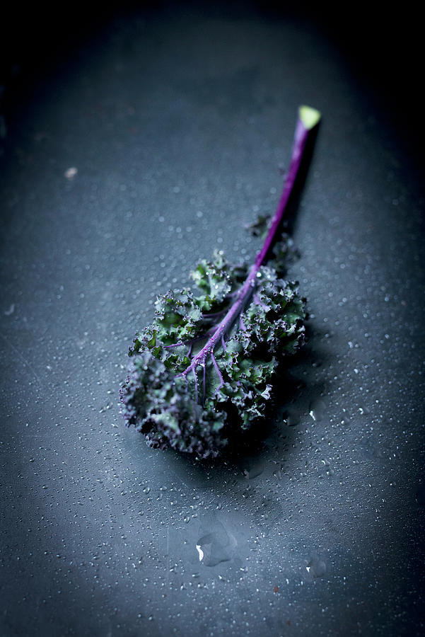 A Purple Kale Leaf On A Dark Background Photograph by Manuela Rther