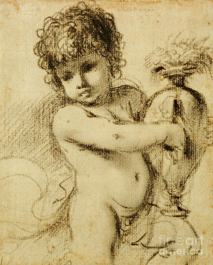 Nude Drawing - A Putto With A Vase by Guercino