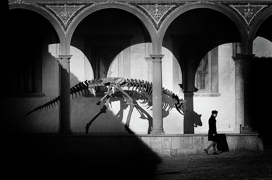 Dinosaur Photograph - A Quiet Day Of Fear by Claudio Moretti