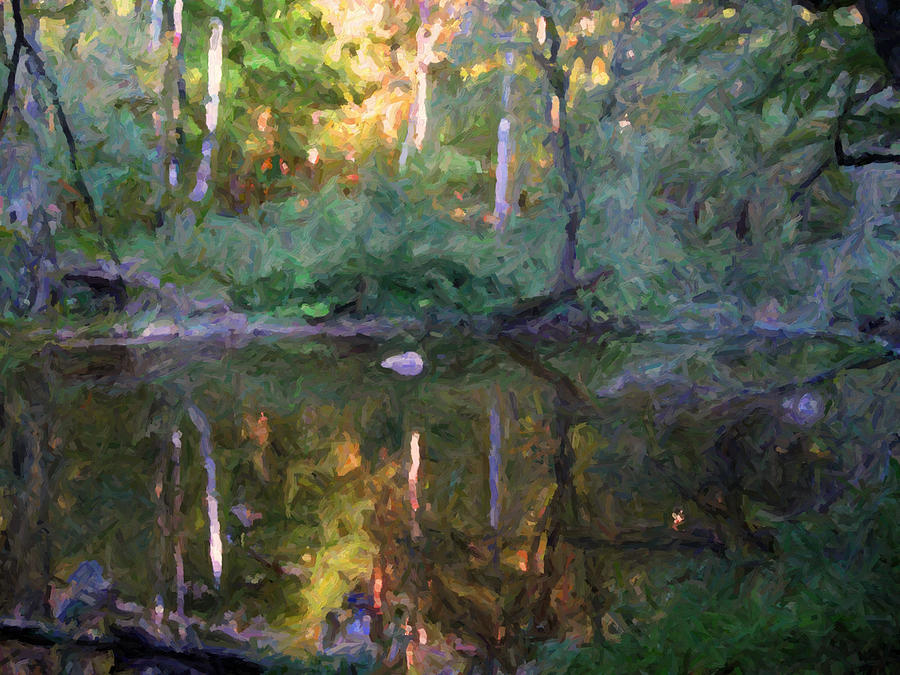 A Quiet Moment on the Eno River Digital Art by David Zimmerman