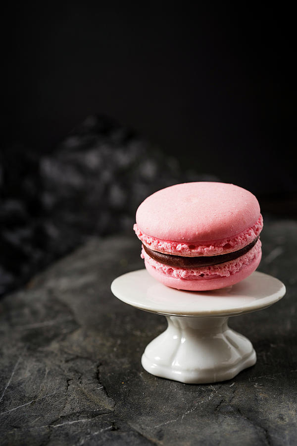 A Raspberries Macaroon With A Chocolate Filling Photograph by Elisabeth Von Plnitz-eisfeld