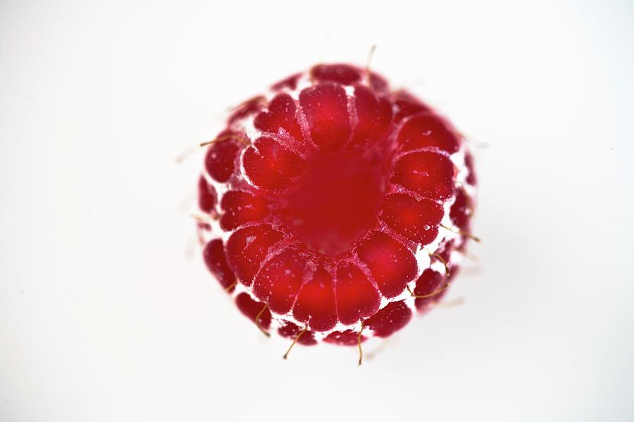 A Raspberry close-up, Seen From Above Photograph by Rose Hodges