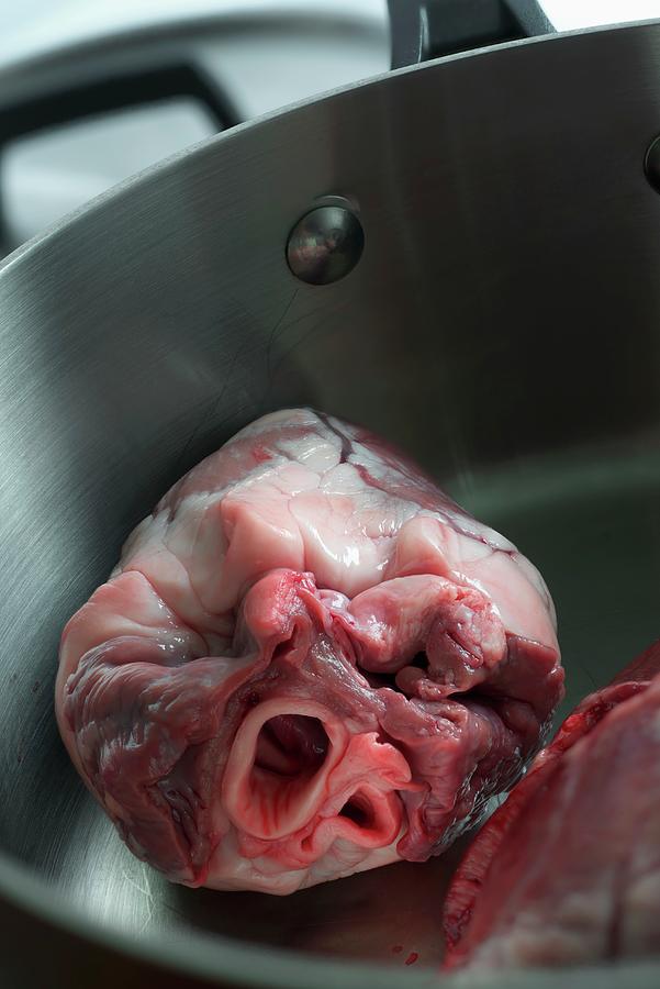 A Raw Lambs Heart In A Saucepan Photograph by Dr. Martin Baumgrtner