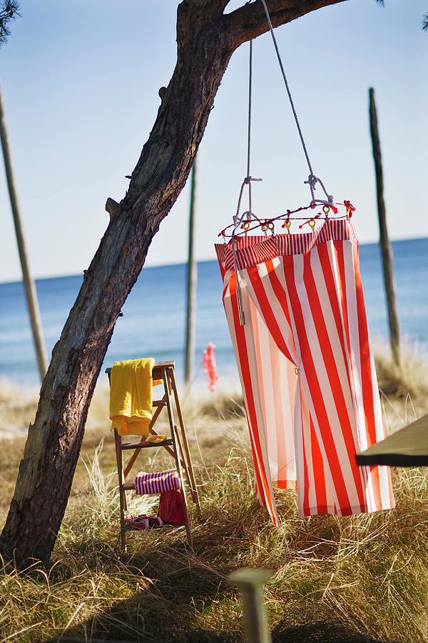 A Red And White Striped Changing Cabin Hanging From A Tree On A Beach With A Sea View Photograph by Per Magnus Persson
