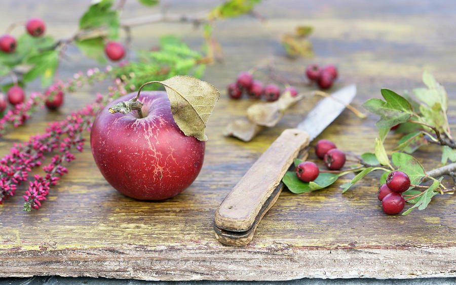 A Red Apple With A Knife And Hawthorn On A Wooden Table Photograph by Martina Schindler