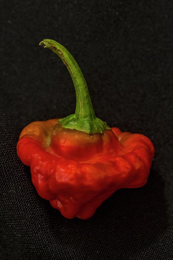 A Red Cap Mushroom Chilli Pepper Photograph by Alfonso Calero