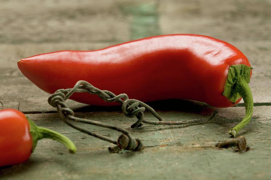 A Red Chilli Pepper On A Rustic Wooden Table Photograph by Blueberrystudio