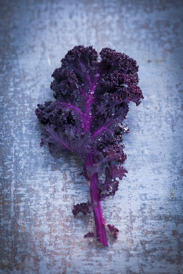 A Red Kale Leaf Photograph by Eising Studio