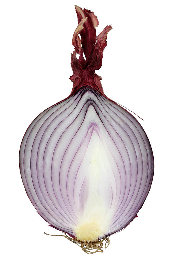 Onion Photograph - A Red Onion Cut In Half On White by Suzifoo