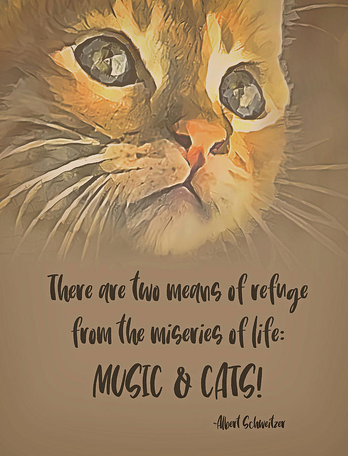 A Refuge - Music And Cats Photograph by HH Photography of Florida