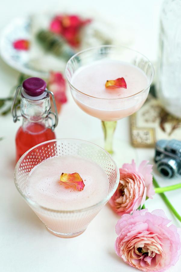A Rhubarb Cocktail With Syrup And Gin Photograph by Lucy Parissi