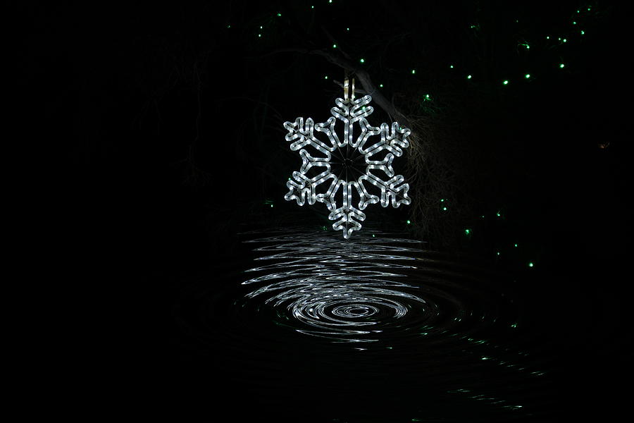A Ripple of Christmas Cheer Photograph by Colleen Cornelius