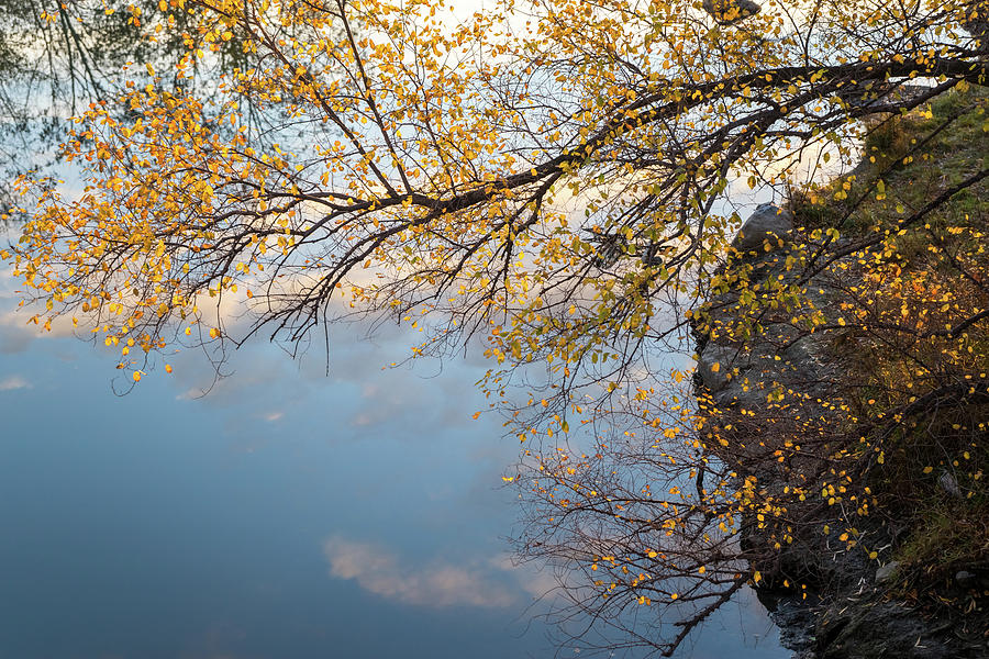 A River of Sky - Soft Autumnal Mood at a Riverbank Photograph by Georgia Mizuleva
