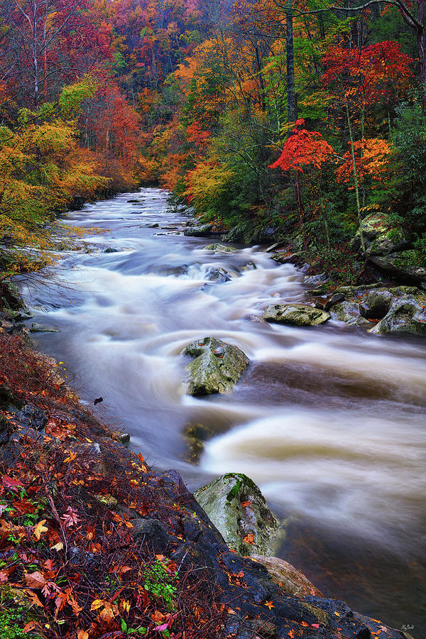 A River Runs Through Autumn Photograph by Greg Norrell