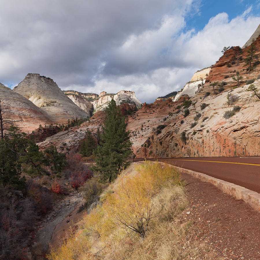 A Road Traveling Through Zion National Photograph by Keith Levit / Design Pics
