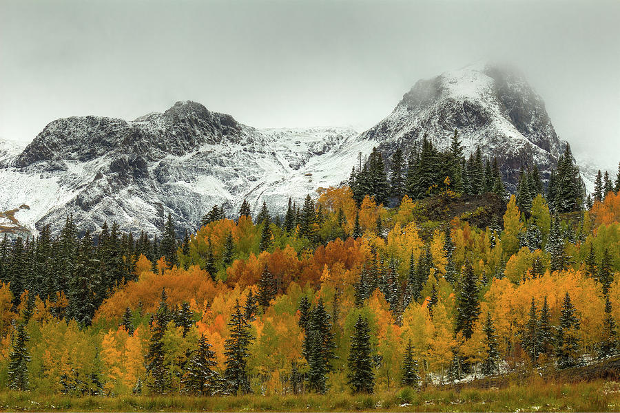 Fall Photograph - A Rocky Mountain Autumn by Bill Sherrell