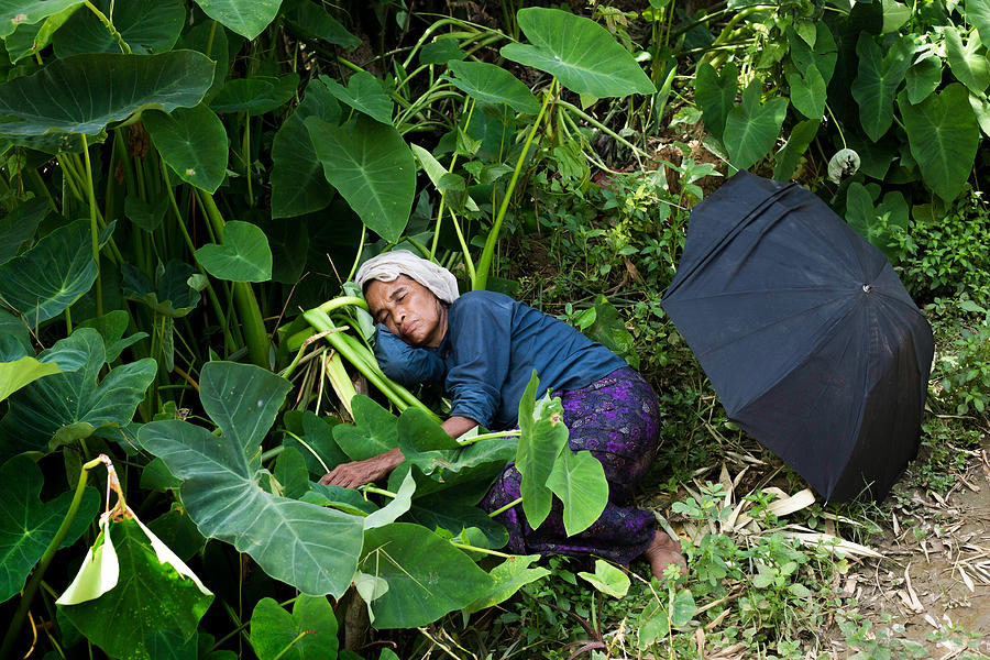 People Photograph - A Rohingya Sleeping by Miraz Mahabub