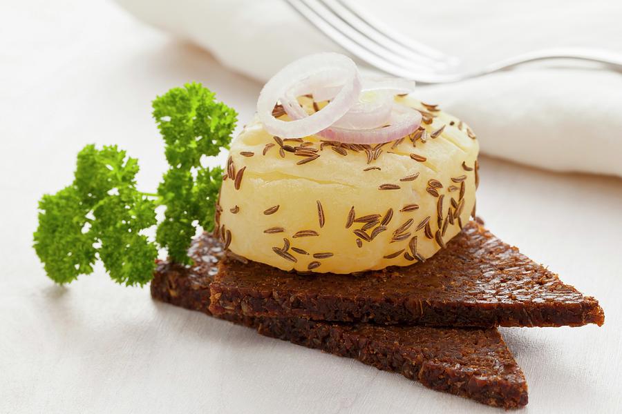 A Roll Of Handmade Harzer sour Milk Cheese With Caraway Seeds And Onions On Pumpernickel Bread Photograph by Shawn Hempel