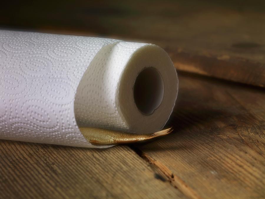 A Roll Of Kitchen Paper And A Sprat Photograph by Studio R. Schmitz
