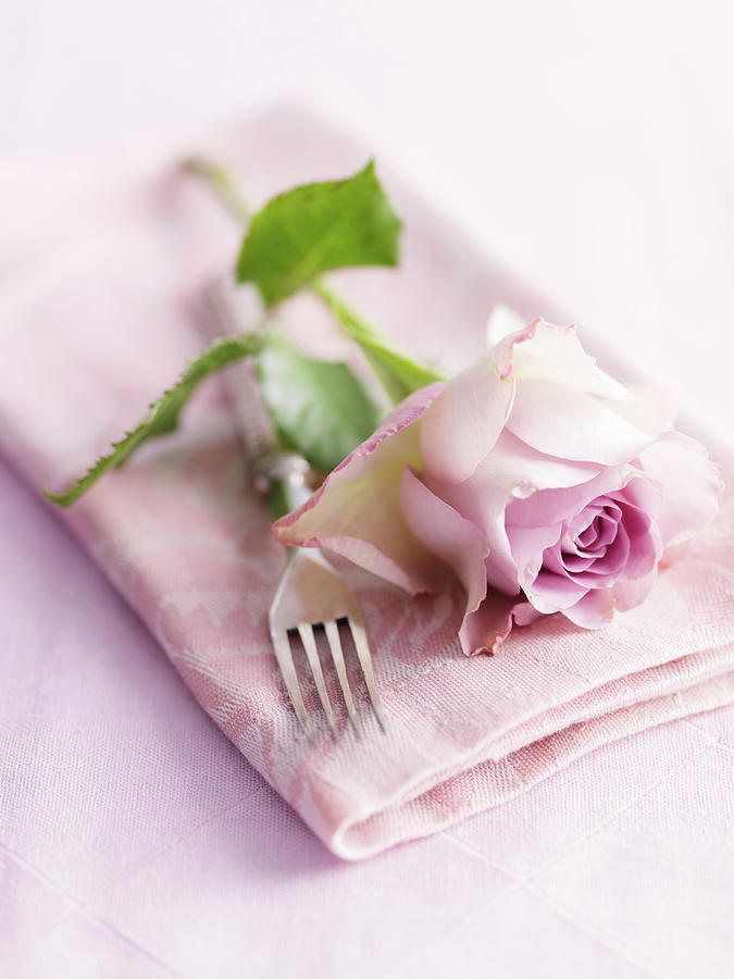 A Romantic Place Setting With A Rose, Fork And Cloth Napkin Photograph by Karen Thomas