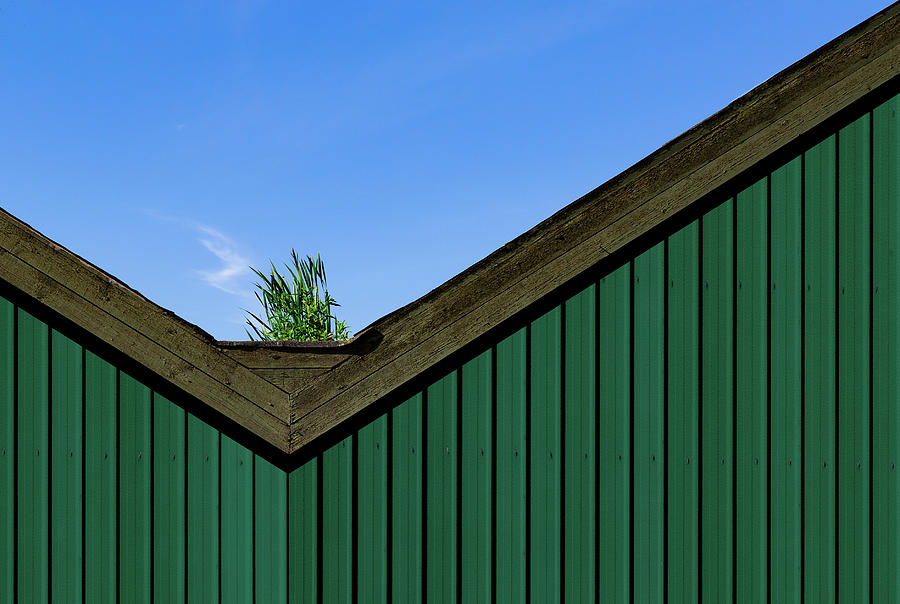 Architecture Photograph - A Roof Garden by Inge Schuster