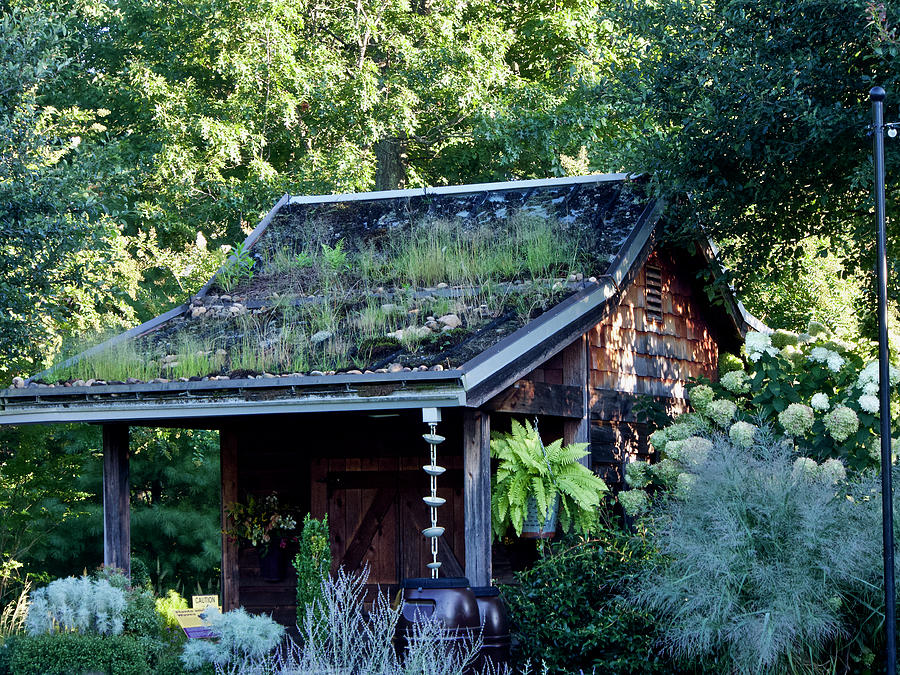 A Roof Top Water Garden at the Arboretum in Asheville Photograph by L Bosco