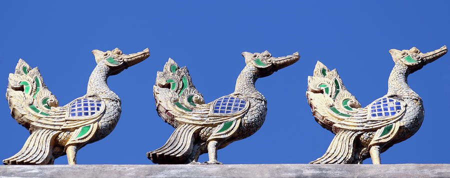 Swan Photograph - A Rooftop Swan Trio Sculpture at a Neighborhood Temple, Chiang M by Derrick Neill