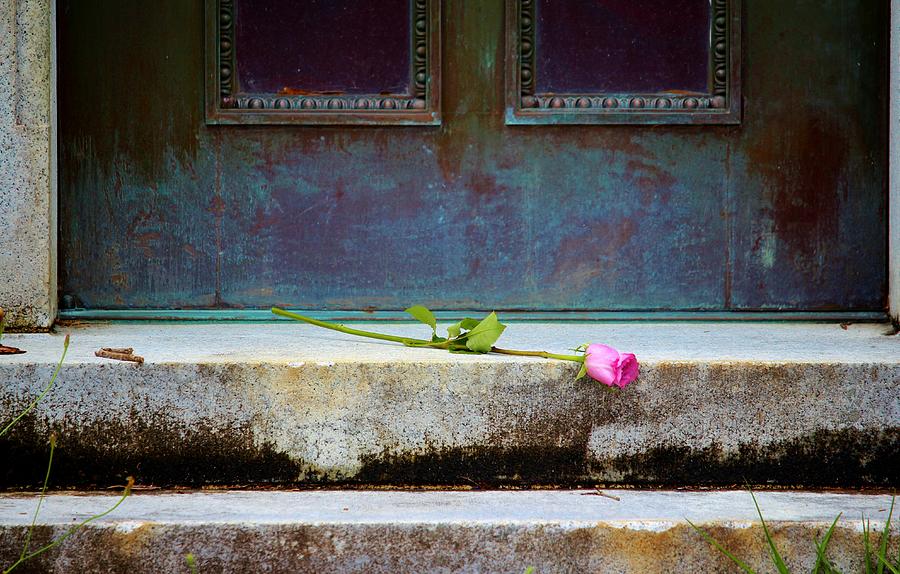 A Rose For Mother Photograph by Cynthia Guinn