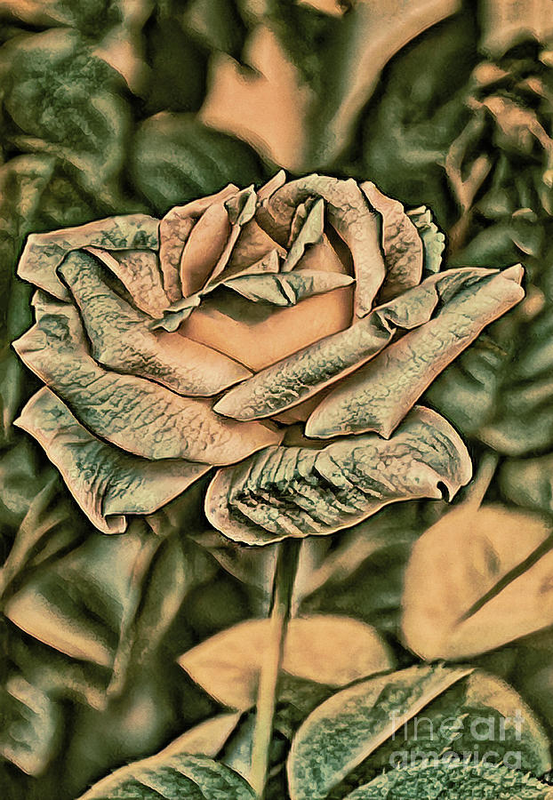 A Rose Of Another Color 1 Photograph by Frances Ann Hattier
