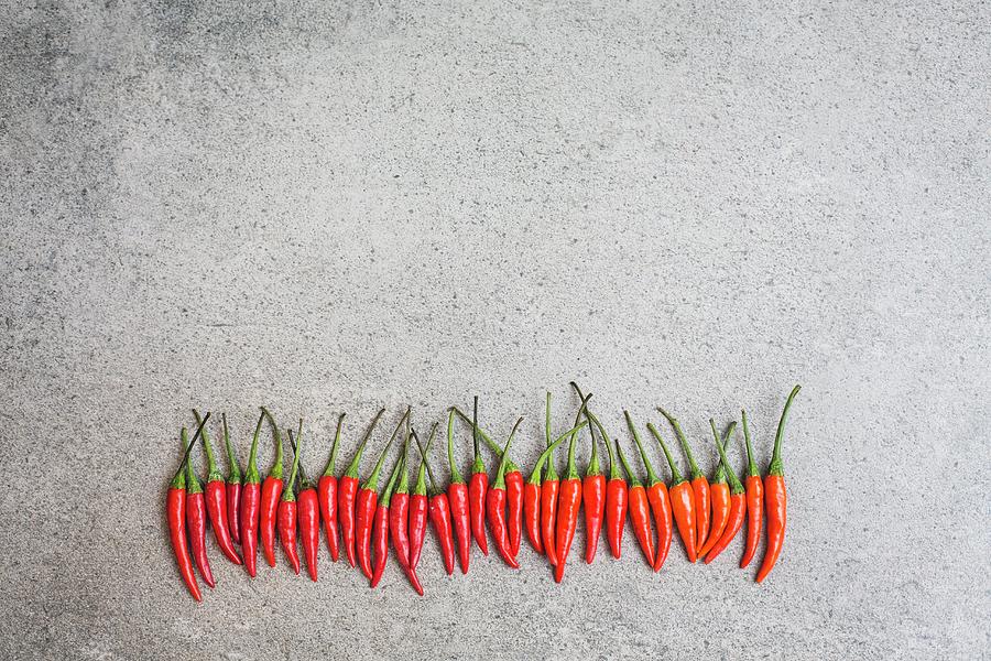 A Row Of Fresh Red Chillis seen From Above Photograph by Rose Hewartson