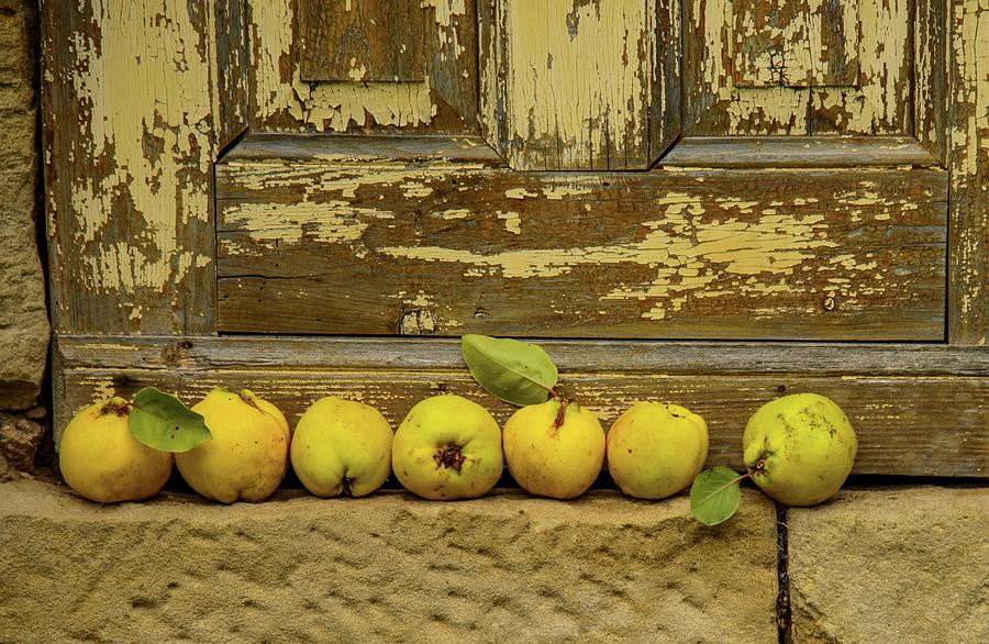 A Row Of Quinces In Front Of A Weathered Wooden Door Photograph by Katrin Benary