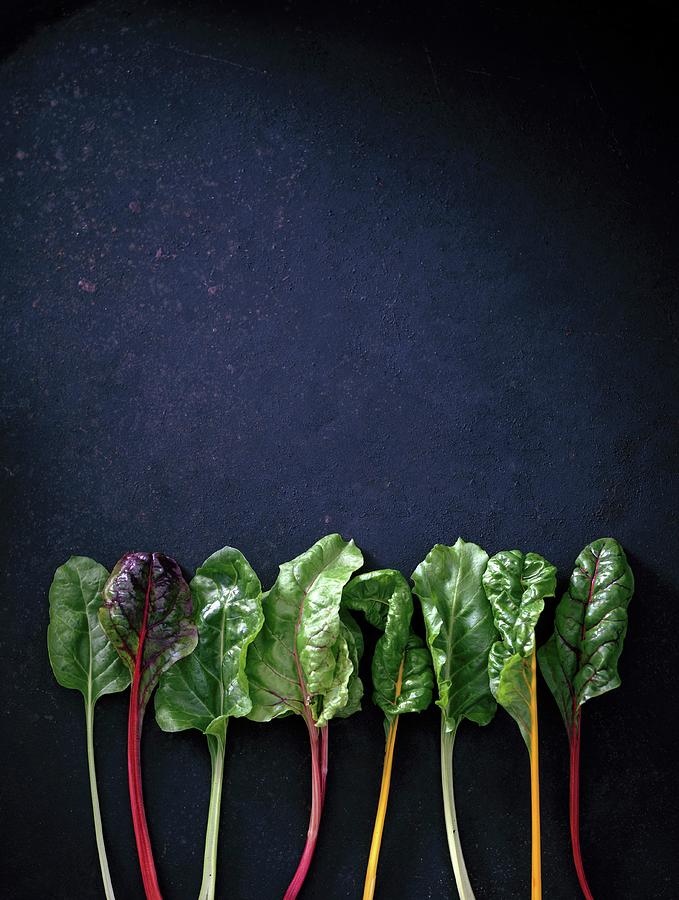 A Row Of Swiss Chard Leaves With Different Coloured Stems Photograph by Kati Neudert