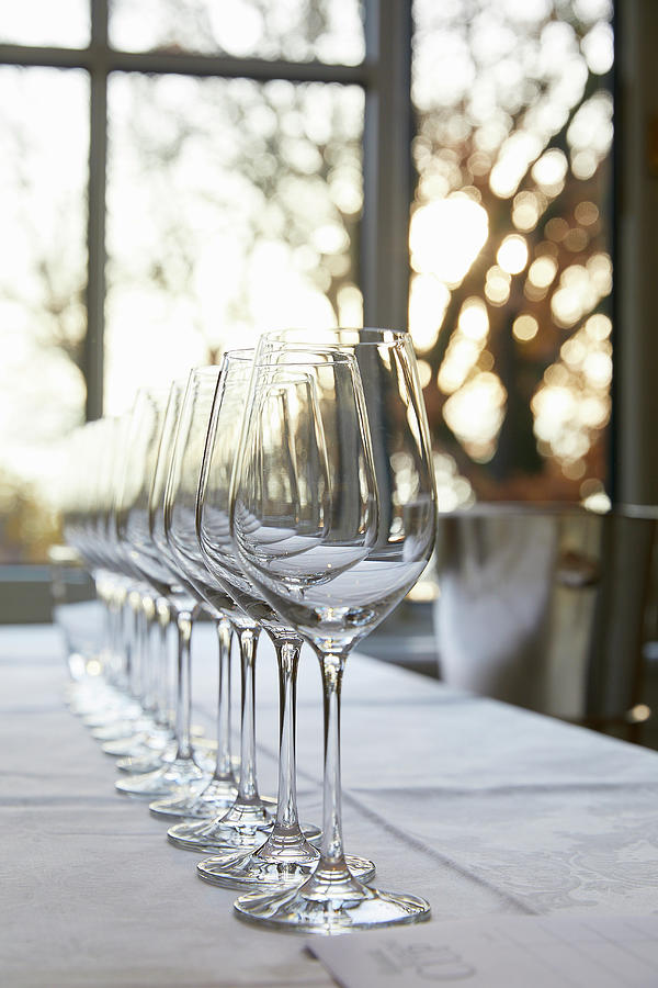 Wine Photograph - A Row Of White Wine Glasses by Jalag / Gtz Wrage