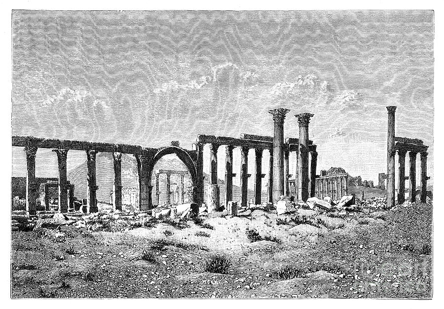 A Ruined Colonnade At Palmyra Tadmur Drawing by Print Collector