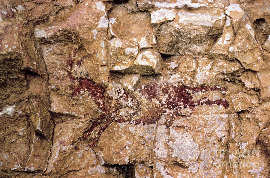Prehistoric Painting - A Running Goat, Mesolithic Period, Spain, Remigia Cave, Barranco De La Gasulla, Ares Del Maestre by Prehistoric