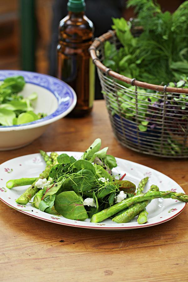 A Salad Made With Green Asparagus, Spinach And Fresh Herbs Photograph by Herbert Lehmann