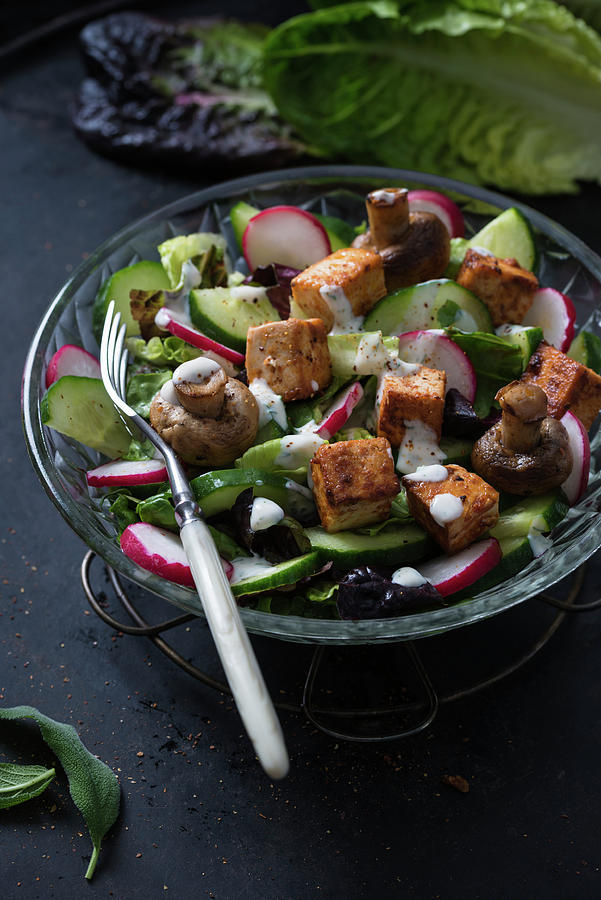 A Salad With Fried Tofu, Mushrooms And Herb Dressing Photograph by Kati Neudert