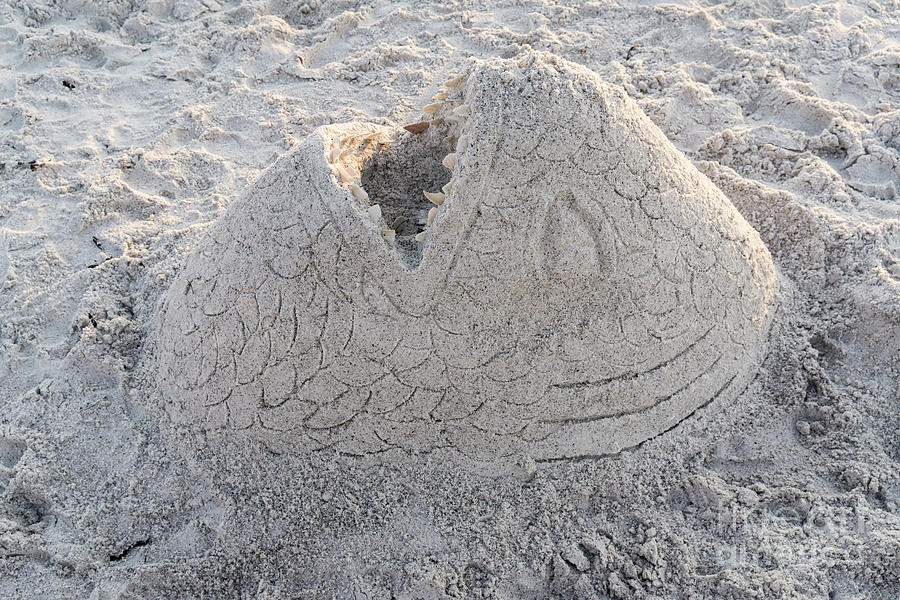 A sand sculpture of a fish head with shell pieces for teeth on t Photograph by William Kuta