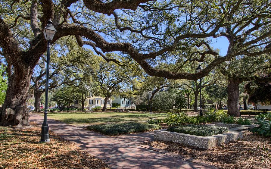 A Savannah Park Photograph by Justin Smith - Pixels