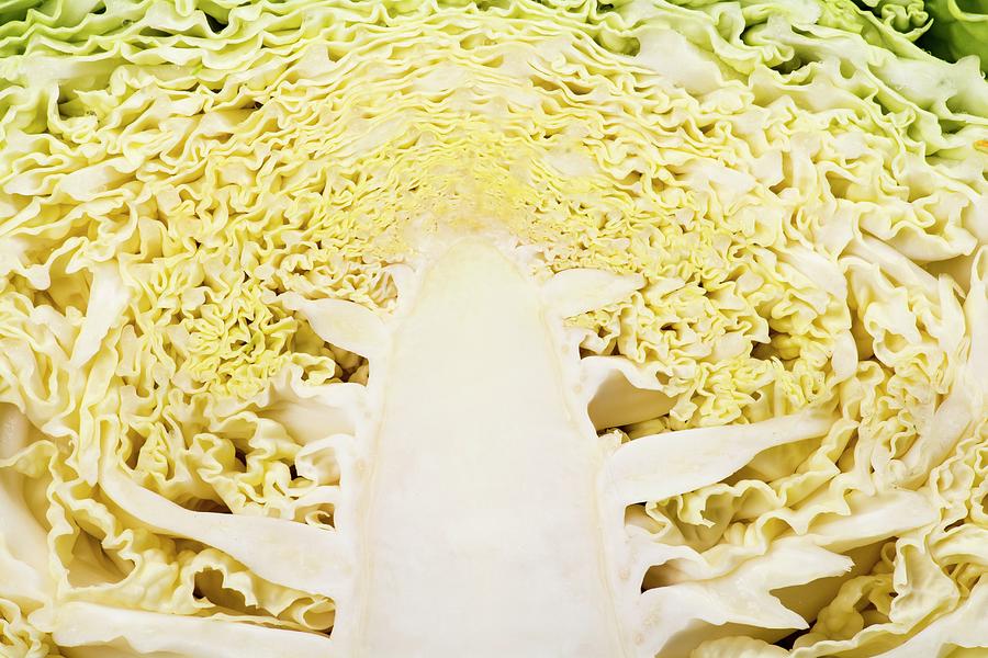 A Savoy Cabbage, Halved close-up Photograph by Chris Schfer