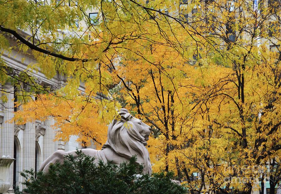 Tree Photograph - Manhattans Public Library In Autumn by Marcus Dagan