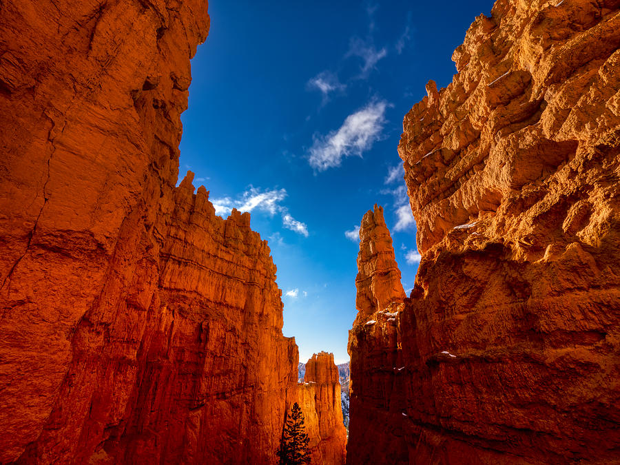 National Parks Photograph - A Scene In Bryce Canyon National Park by Anchor Lee