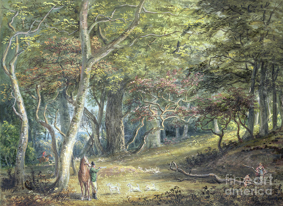 A Scene In Windsor Forest Painting by Paul Sandby