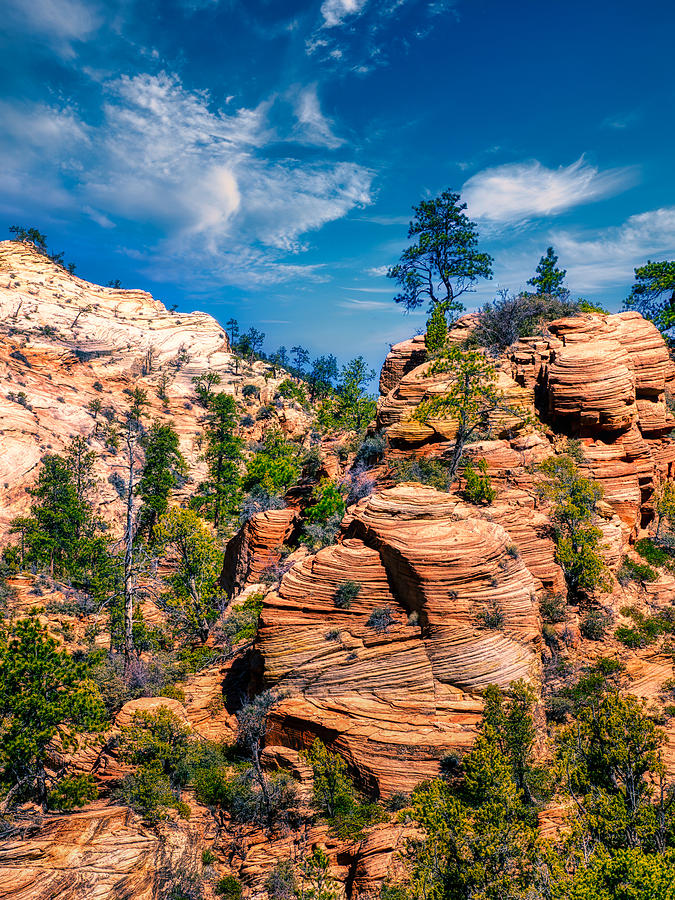 Zion National Park Photograph - A Scene In Zion National Park #2 by Anchor Lee