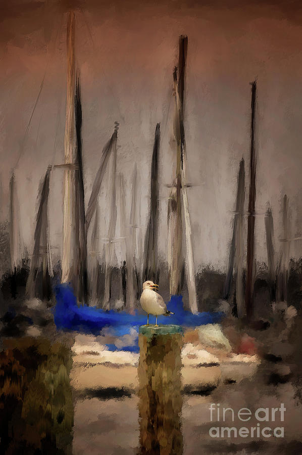 A Seagull At Pirates Cove Digital Art by Lois Bryan