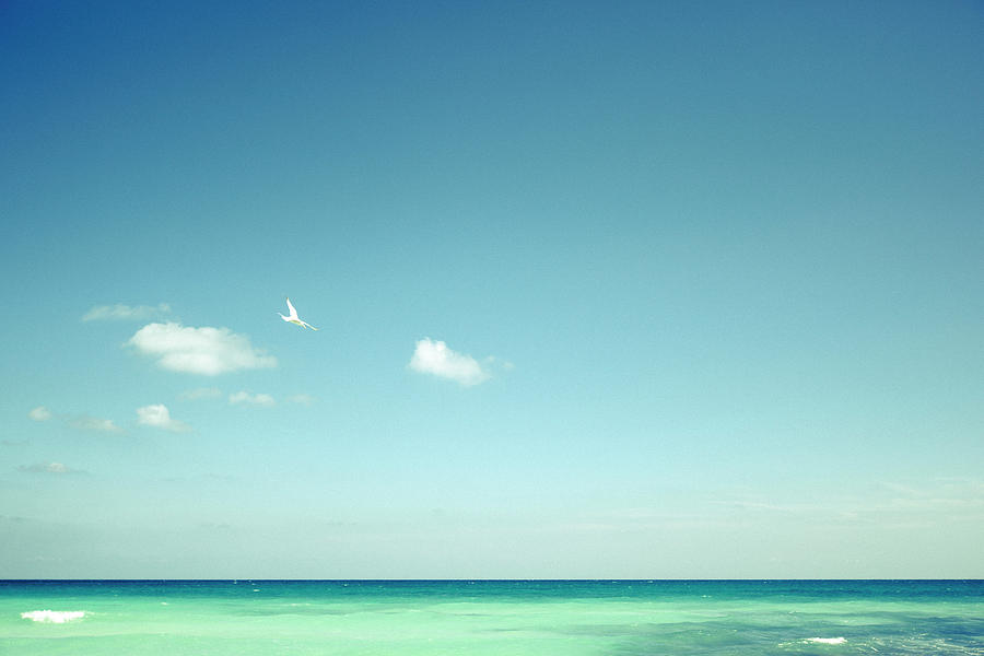 A Seascape Beach On A Clear Day Photograph by Aguru