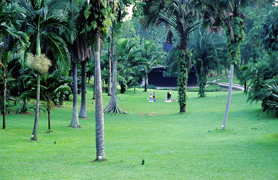 A Section Of Lawn In The 54 Hectare Photograph by Glenn Beanland A Section Of Lawn In The 54 Hectare Photograph by Glenn Beanland